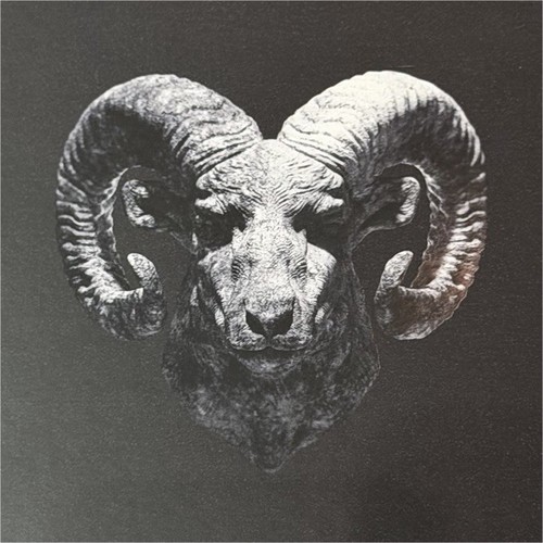 Vinile capo plaza ferite - vinile,